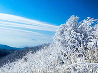 ♤ 제488차 장안산, 백운산 연계 설경산행 ..