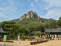 ♤ 제508차 주왕산 국립공원 산행 안내(2..