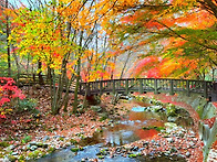 ♤ 제512차 강천산 단풍산행 안내(2026..