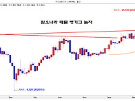 벗고놀자 매물못 버낀건 ..