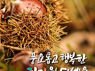 추석명절 저희 부..
