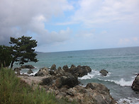 경북 장사 해변.