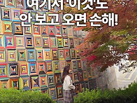 도심 속 숨은 단풍 명소&..