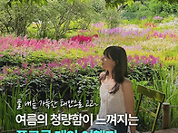&#65279;풀 내음 가..