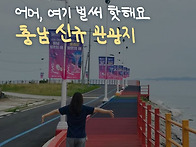 따끈따끈한 신상 스팟 신규..