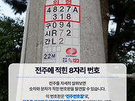 전봇대에 붙은 8자리 번호..