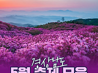 5월 축제 총정리!
