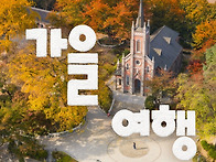 선선한 바람이 불어오니 ..
