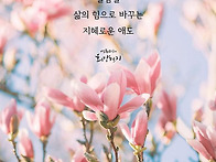 애도