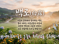 체외충격파 치료, 제대로 ..