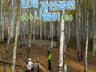 인제 깊은 산 속에서 마시..