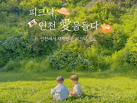 인천愛물들다_인천피크닉명..