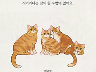 시어머니는 집주인이다