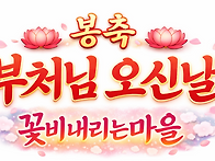 평안과 행복이 가득한 하루..