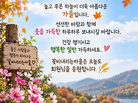 🌸 연휴가 끝..