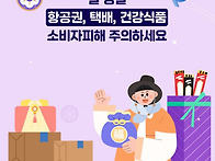 설 명절 항공권, 택배, ..