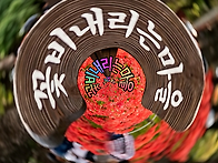 꽃무릇이 선사하는 가을 ..