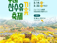 구례 산수유꽃축제. 올봄,..