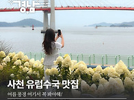 한여름까지 수국 못 본 사..