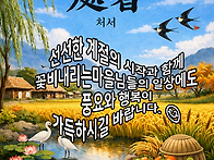 🌙 명량, 달빛..