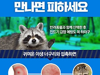 너구리 접촉하지마세요!~