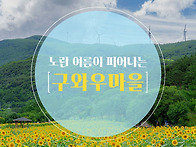 가장 눈부신 계절을 담아보..