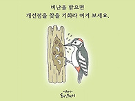 악플의 역설적 의미