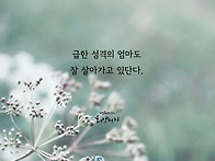 아이들 성격이 조급해요