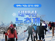 하얀 눈꽃 세상으로 초대합..