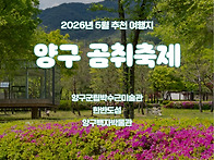 5월 추천여행지 '양구 곰..