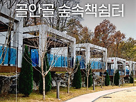 바쁘게 흐르는 도시의 쉼표..