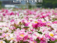 5월 15일 기준, 화사하게 ..