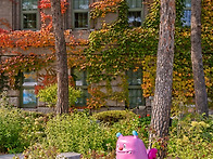 걸으면 정원이 되는 도시,..