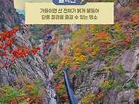 선선한 바람이 불고 단풍이..