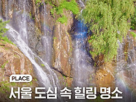 도심 속 힐링명소 요즘 뜨..