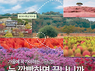 🍂 올가을 어..