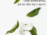 보통의 일상
