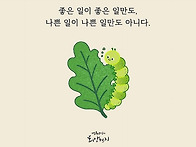 평온한 마음