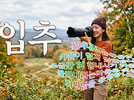 🍂 가을의 문..