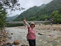 백담사.용대리.버스정류장까지 걸어봄니다...