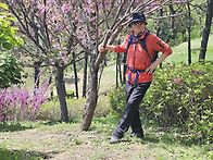 토요산행 (4/26) 수리산 무성봉 둘레길 6