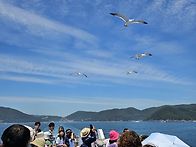 테마여행 (5/30~31) 이..