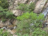 삼천사 계곡산행