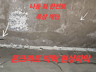 2026.07.11(토요일) 맑음