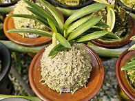 문향원 방문1..26,3.13