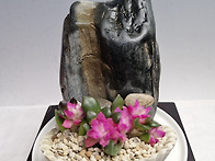 취설송 폭포석....