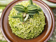 문향원 방문2..26.3.13