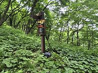 두타산 단임산
