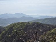 공주 월성산 주미산: 공주..