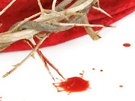 피의 호소와 부활